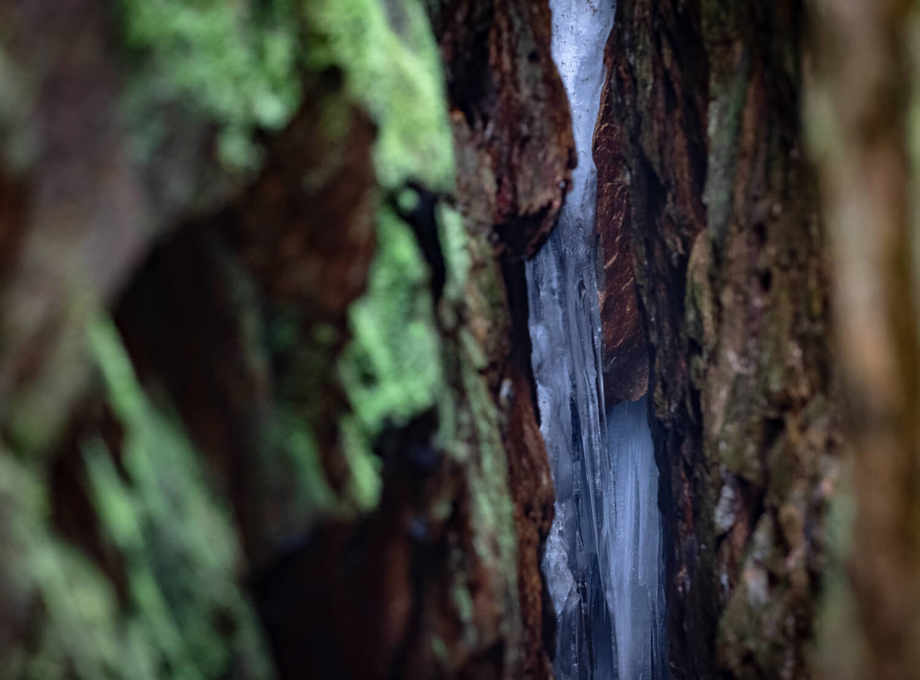 Image /media/5aqliqse/dsc8009.jpg