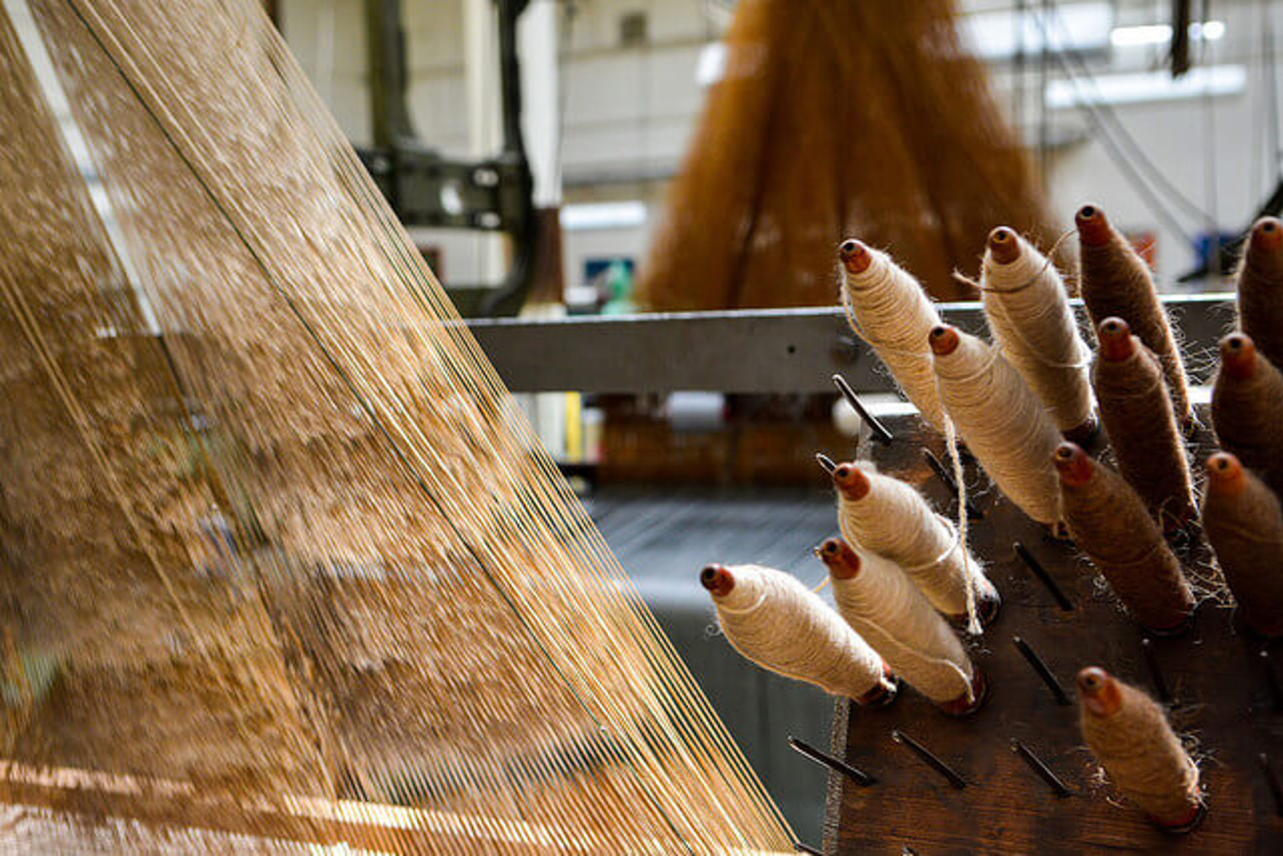 Image /media/5b0j2b0l/textilka_10.jpg