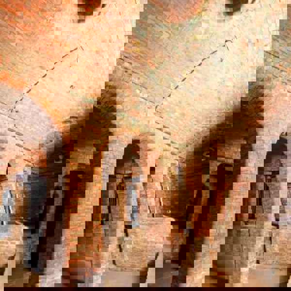 Image /media/5bcj5125/cov-341jpg1.jpg