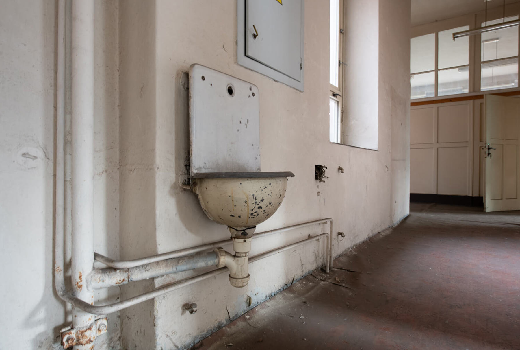 Image /media/5f4iq0y2/_dsc9723.jpg