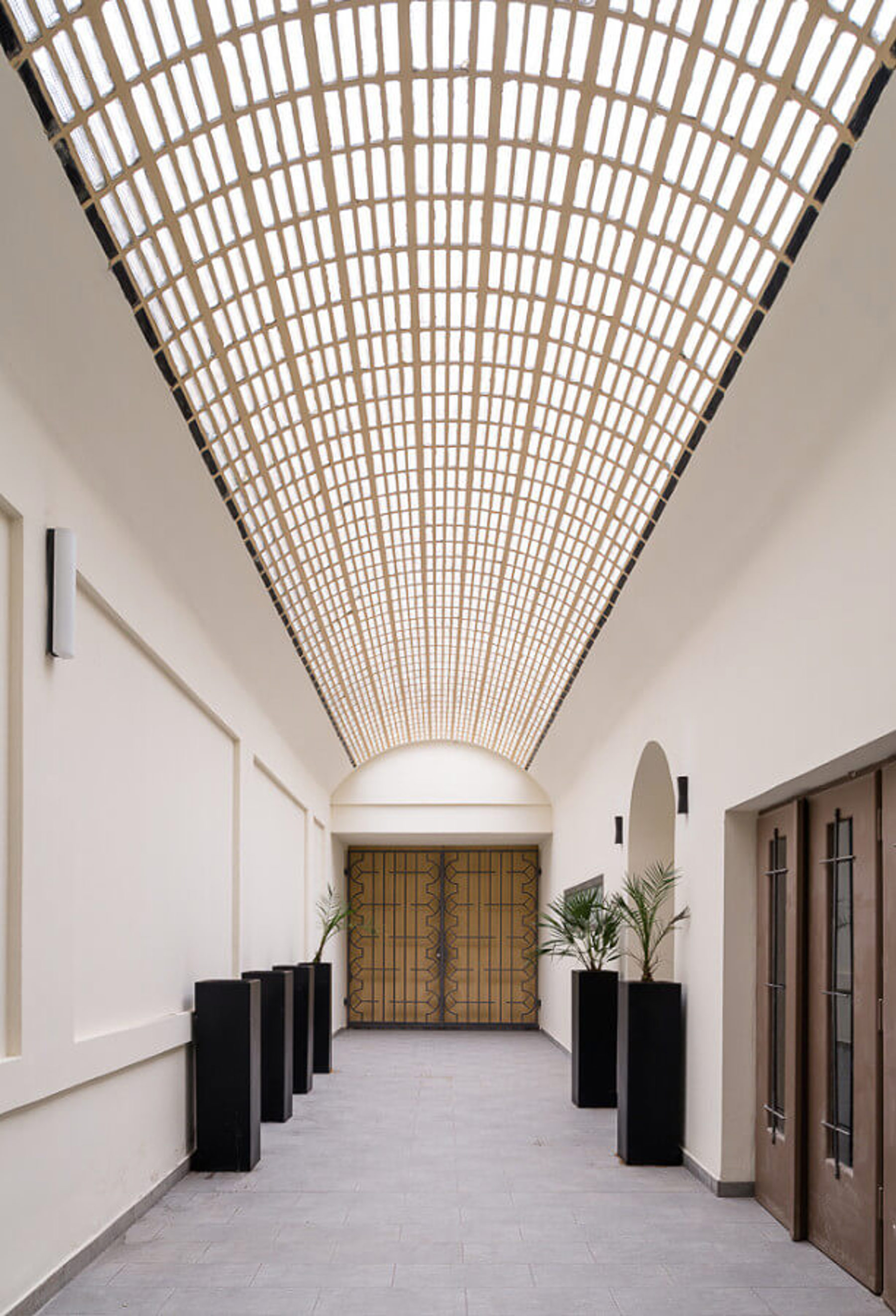 Image /media/5fhiyg1e/kino64_macha_51.jpg