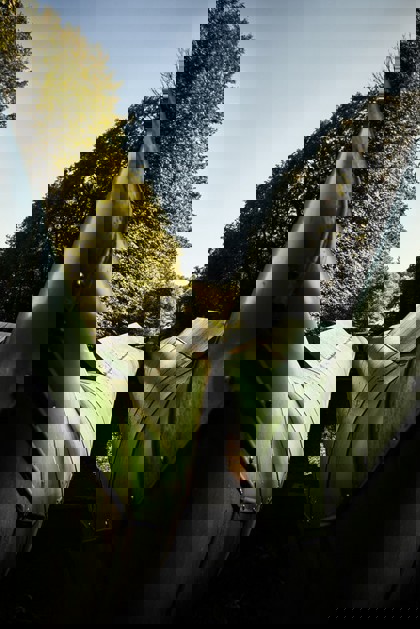 Image /media/5jafzcae/karel_kita_-_moravskoslezske_investice_a_development_13.jpg