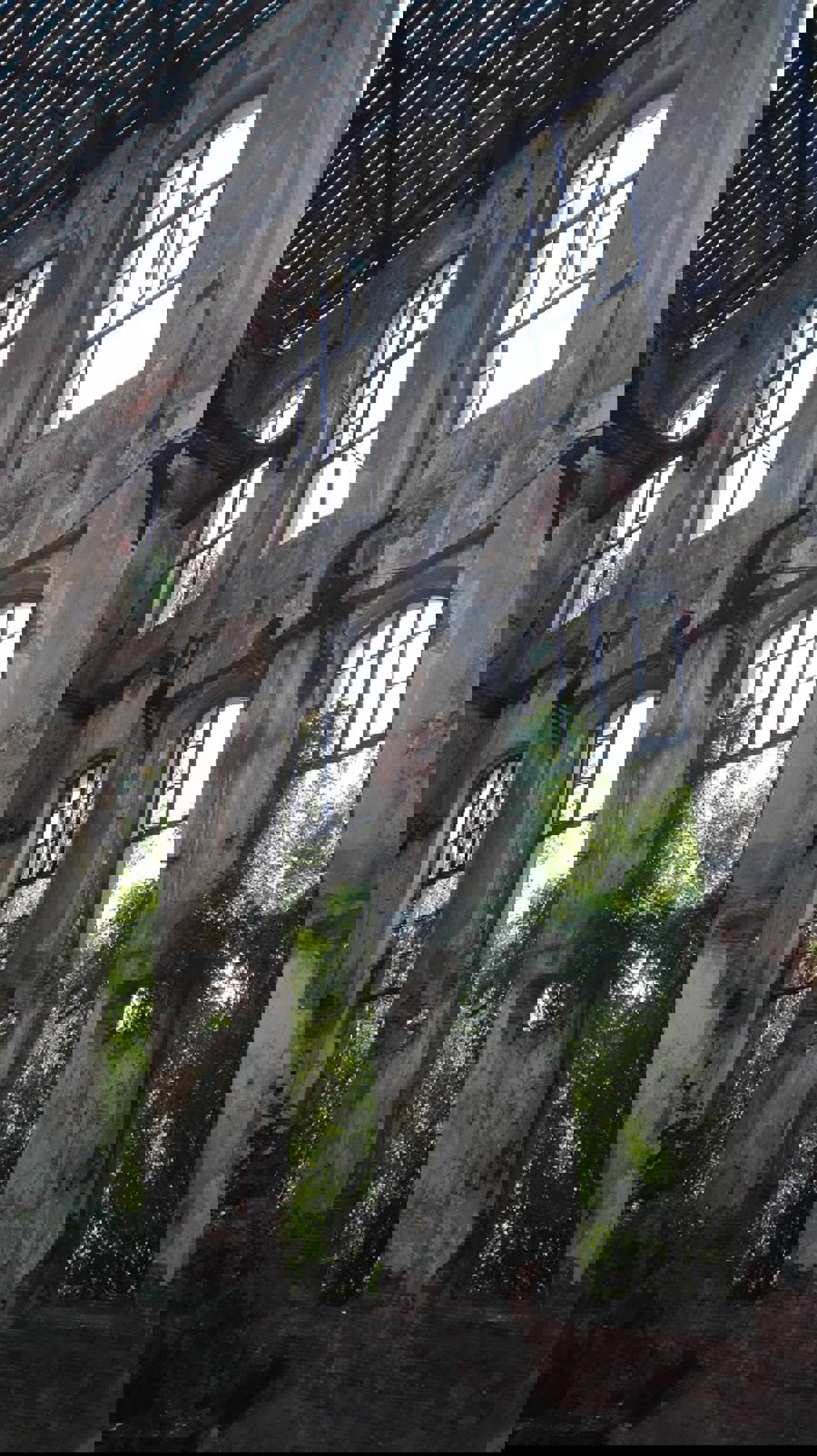 Obrázek /media/5l0gtpor/img_20170601_092642.jpg