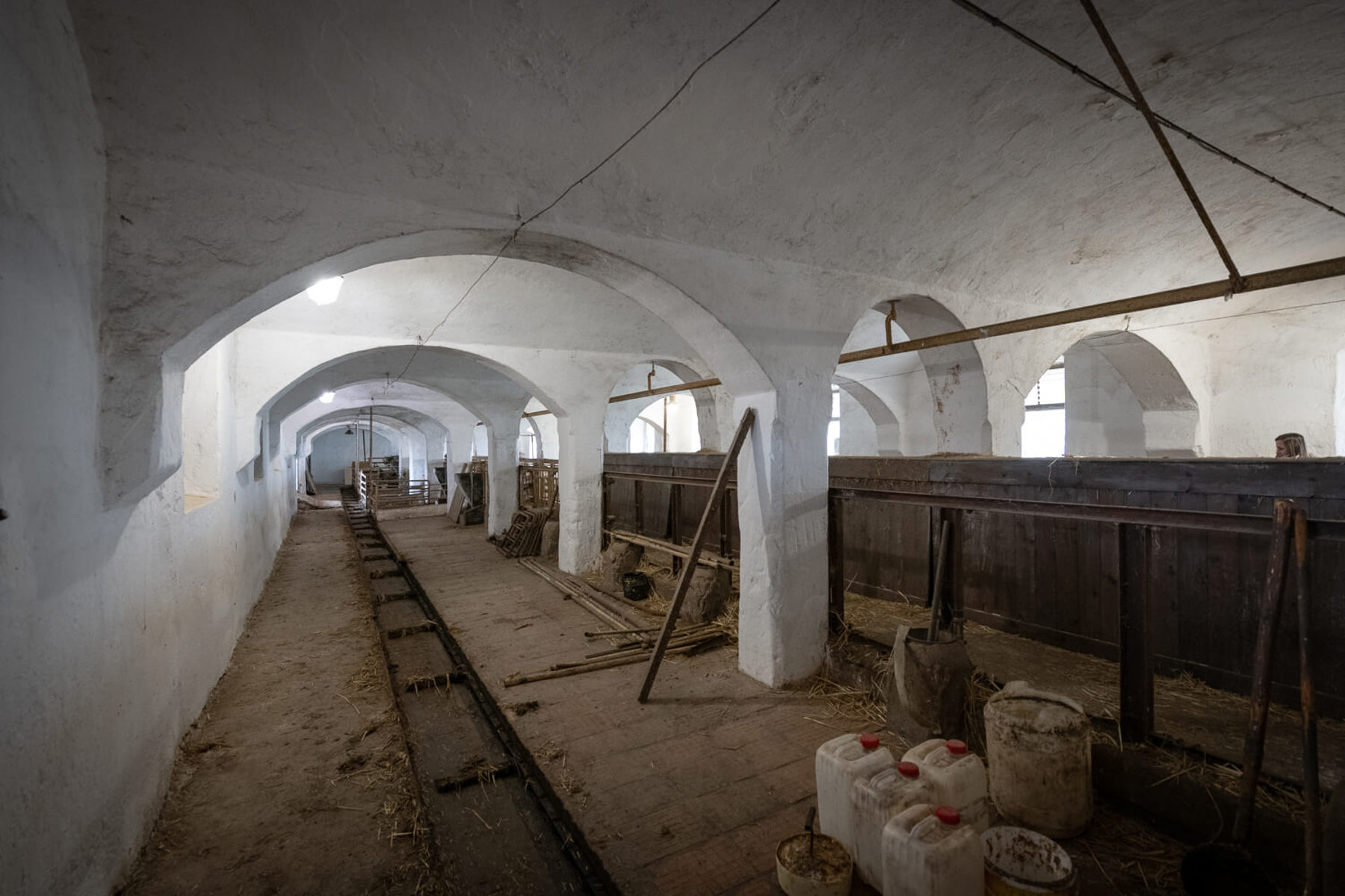 Obrázek /media/5ldgmlnd/_dsc1068.jpg