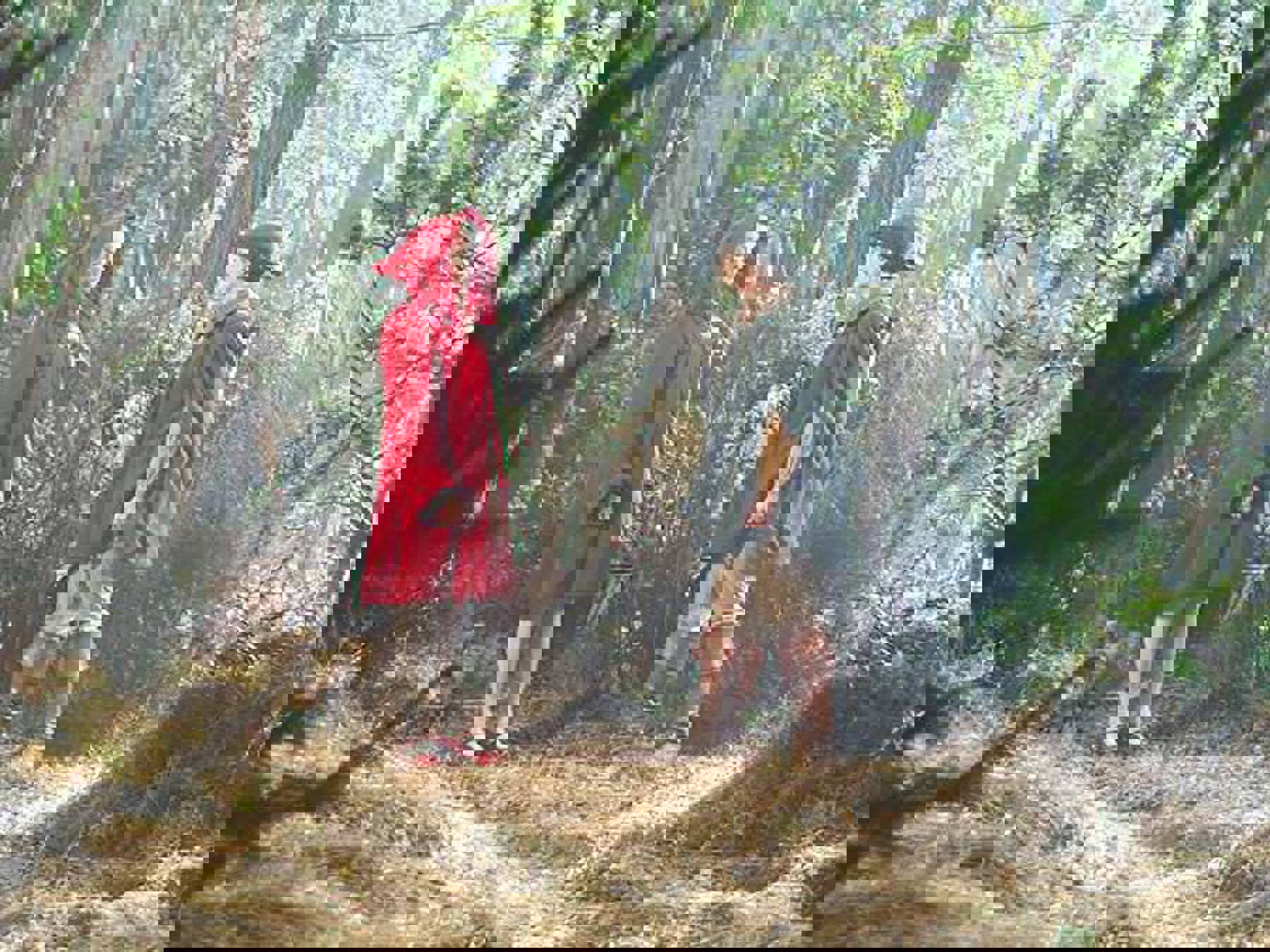 Image /media/5mklx4xy/id41971-5.jpg