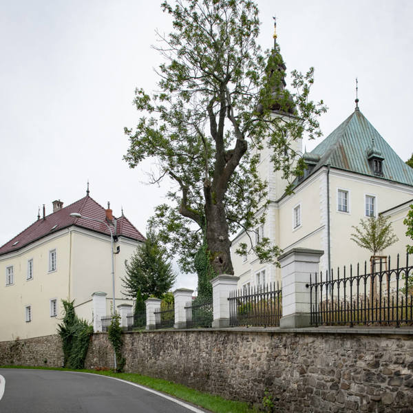 Obrázek /media/5mnao34j/_dsc9345.jpg