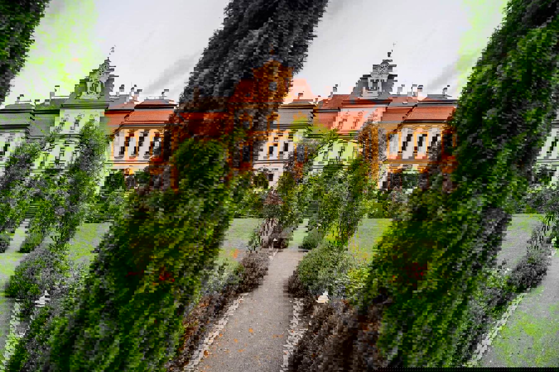 Image /media/5n0frb1r/jemniste-back-side-2.jpg