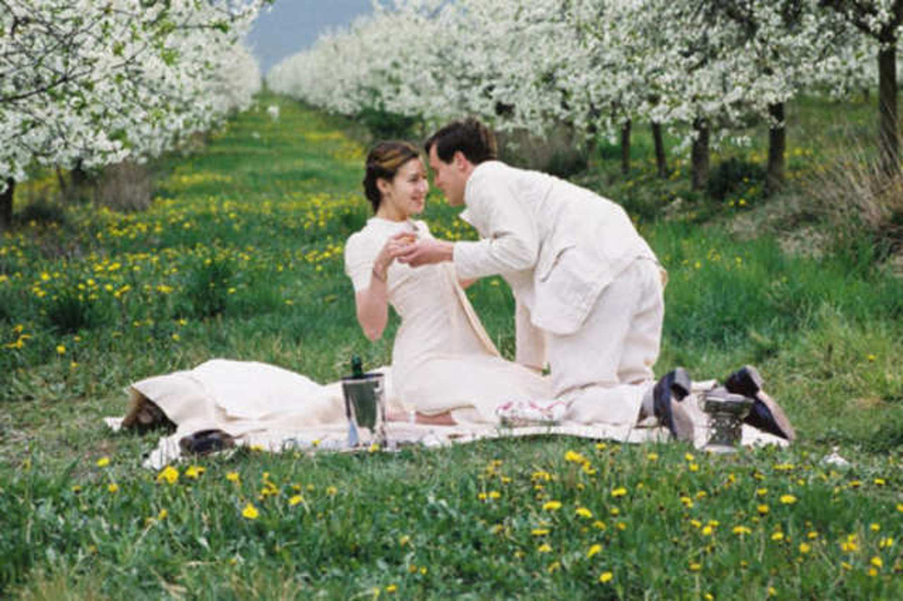 Image /media/5n3it2e1/47735-4-large.jpg