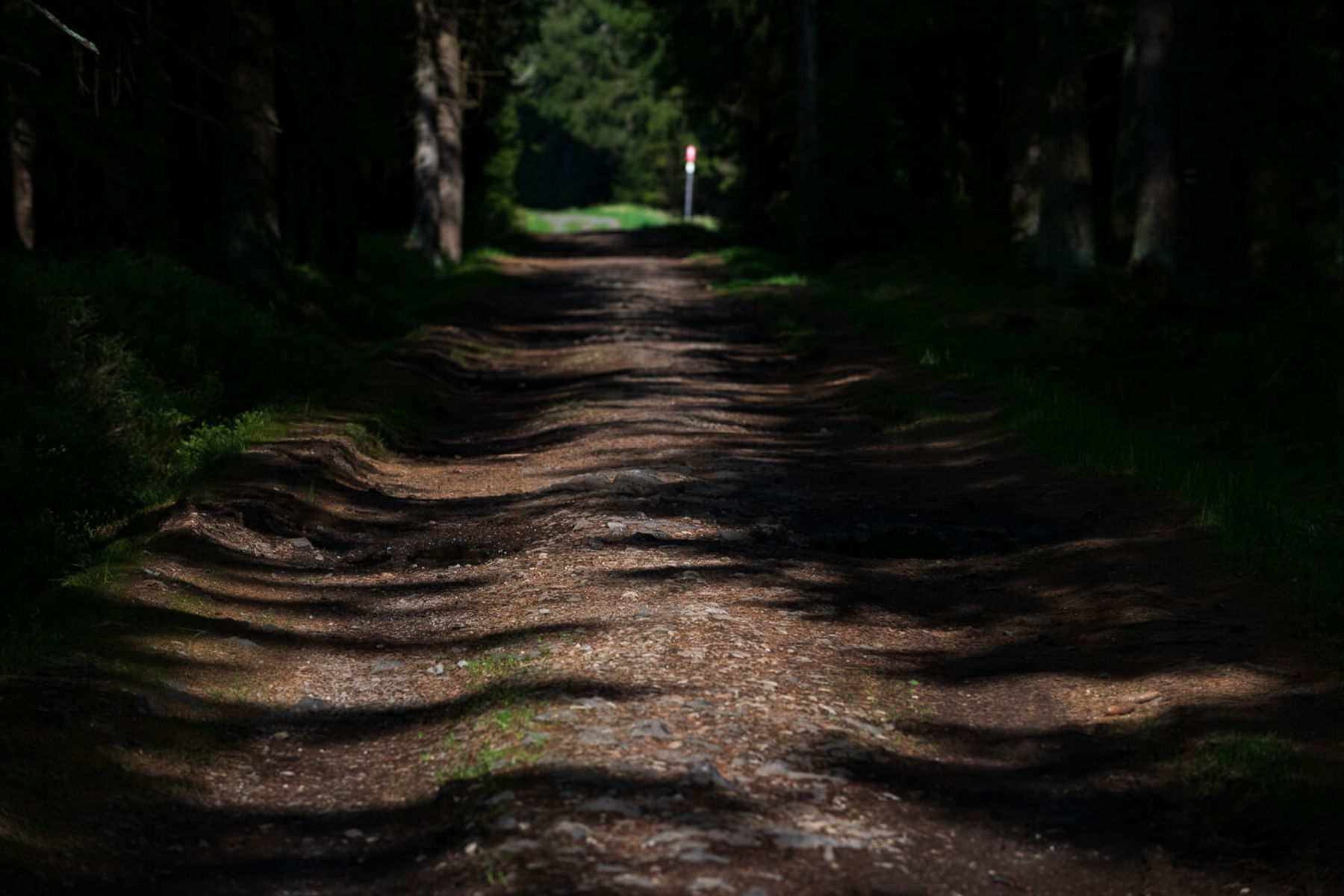 Image /media/5r3nj2bx/dsc8125.jpg