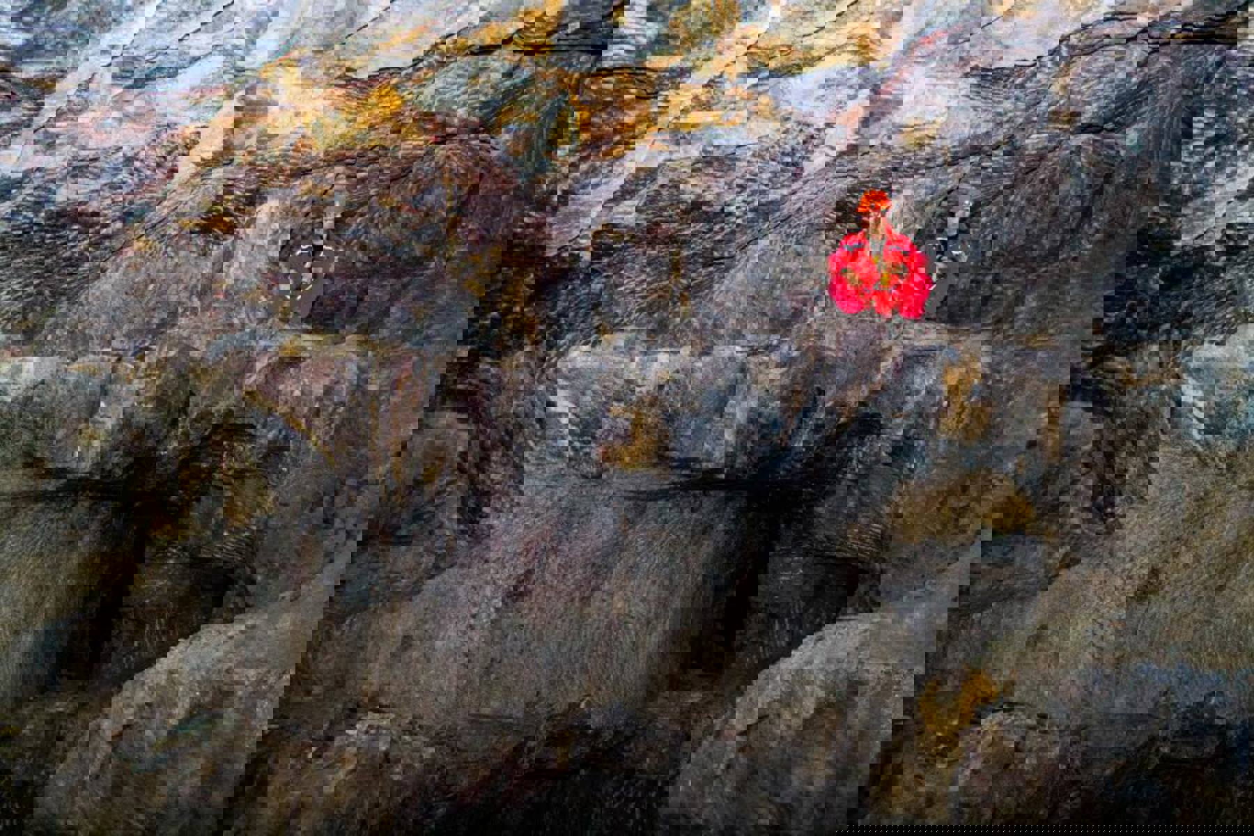 Obrázek /media/5xchaijk/15823161_1244829715594897_1742052176968664671_n.jpg