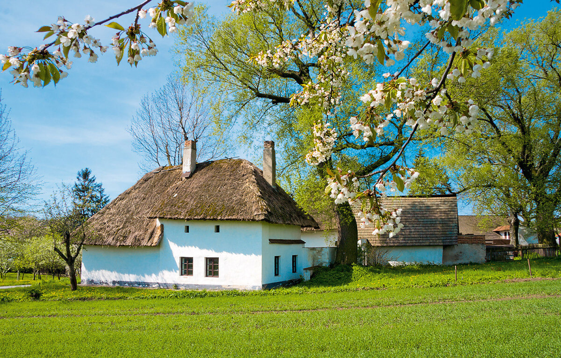 Obrázek /media/a2xkb1es/rymice.jpg