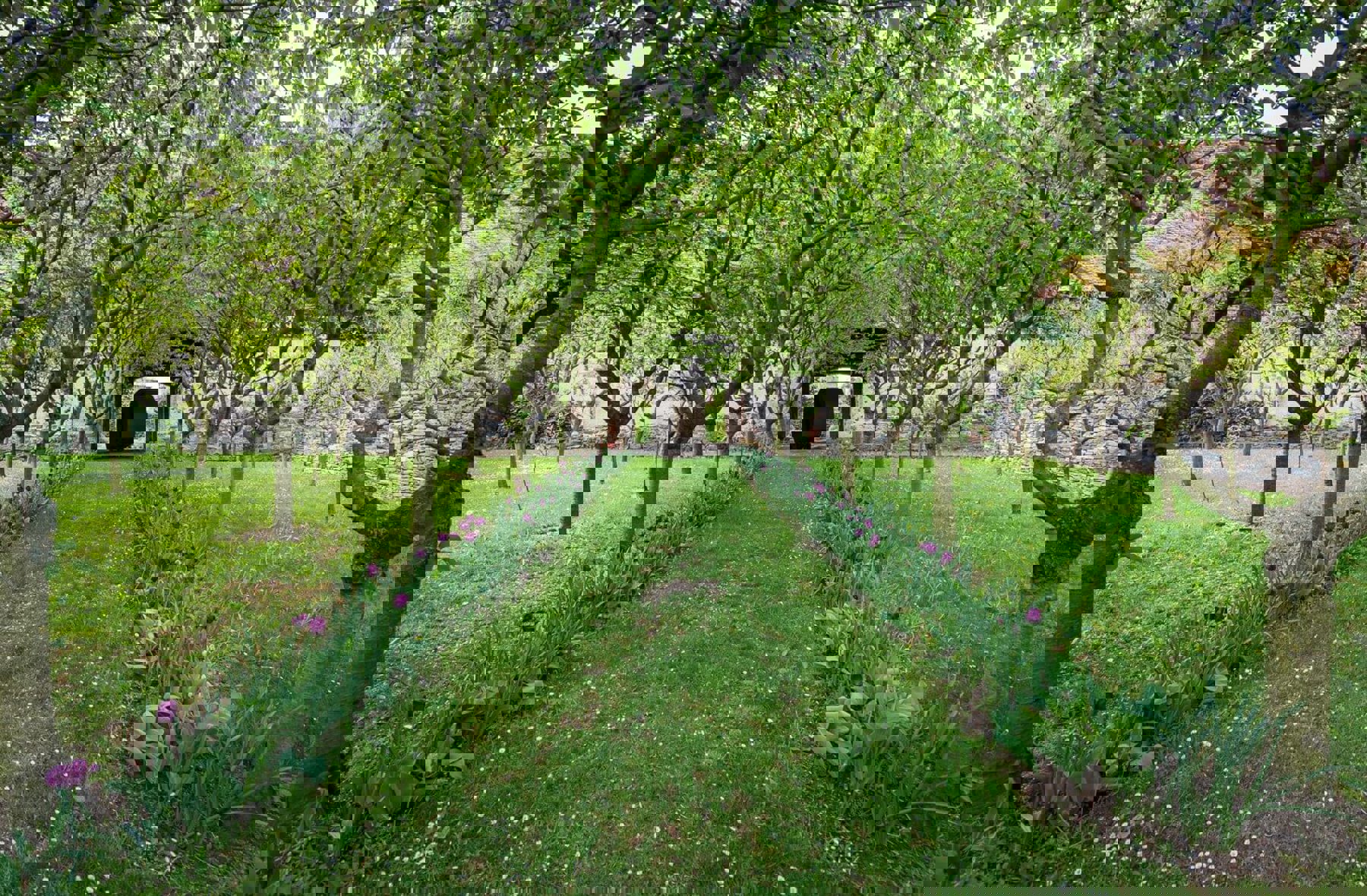 Image /media/aaxhnp04/zamek_trebesice_32.jpg