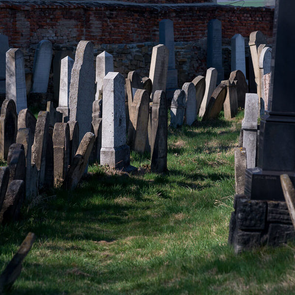 Image /media/adnpzubs/dsc_4190.jpg