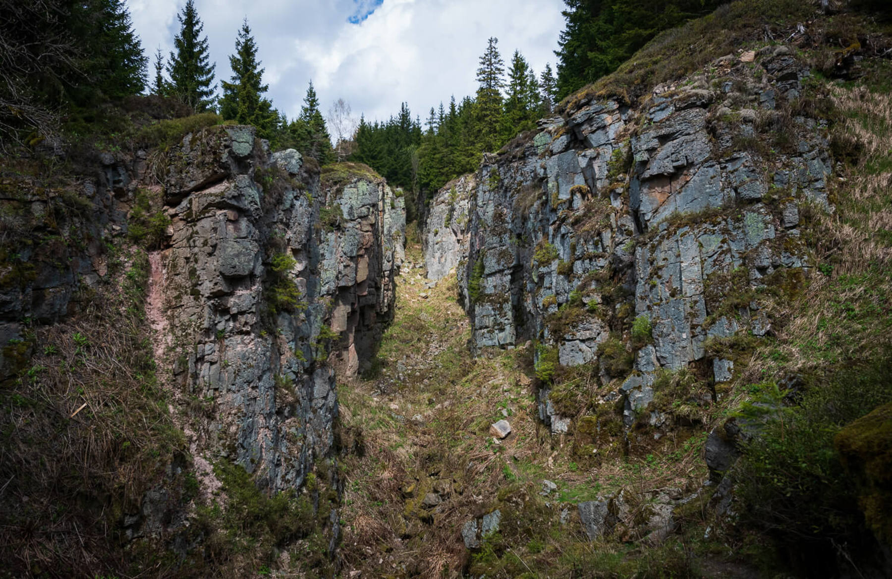 Image /media/afegbdov/dsc8030.jpg