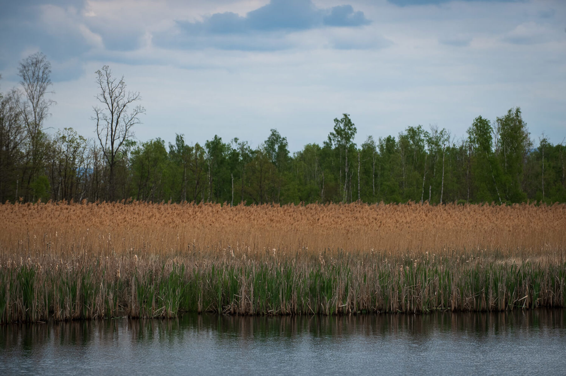 Image /media/ag0k4ylg/_dsc5284.jpg