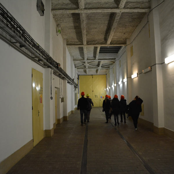 Image /media/agqj1ayb/dsc_7617.jpg