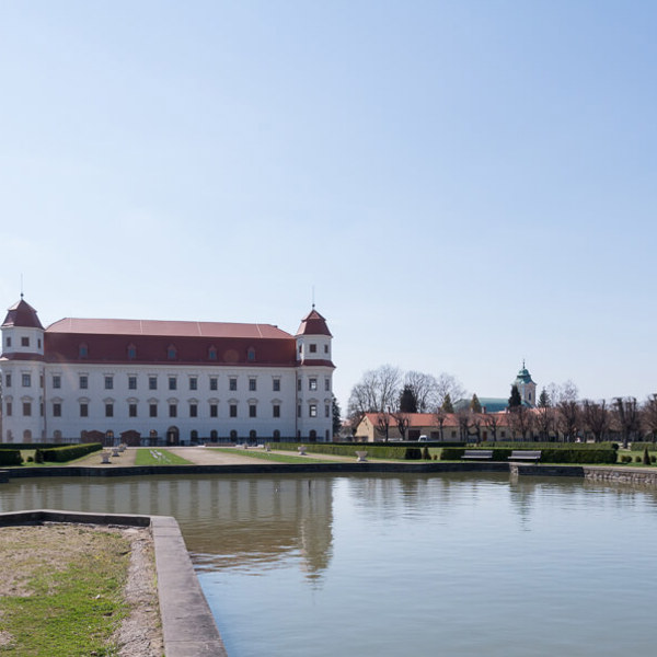 Obrázek /media/ahymdekd/dsc_4086.jpg
