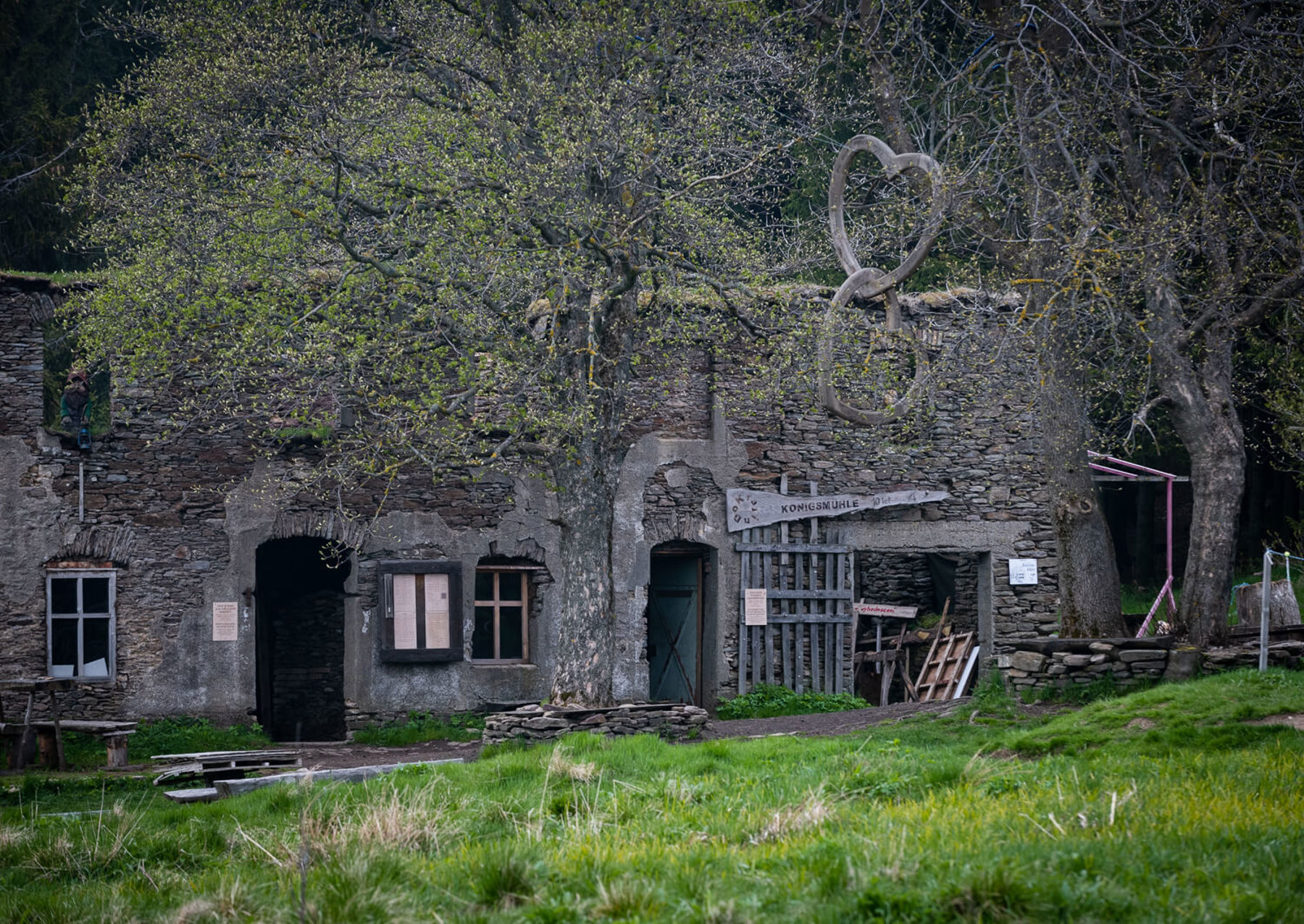 Image /media/ajeprpkc/dsc8419.jpg