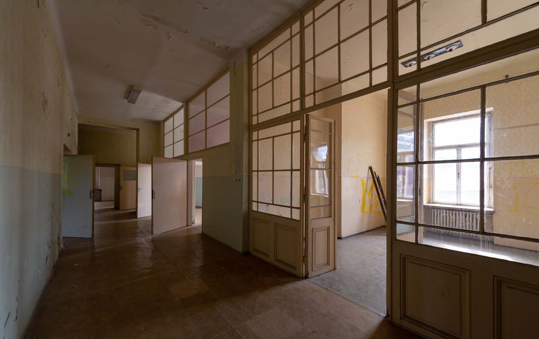 Image /media/ak5oxwlj/dsc_0284.jpg