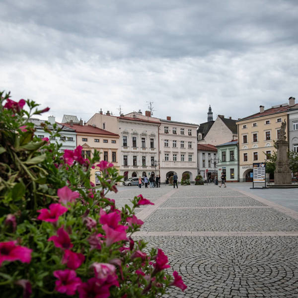 Obrázek /media/arvo0jbc/_dsc9247.jpg