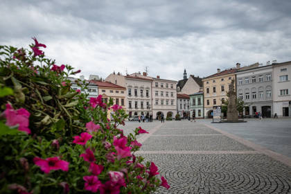 Obrázek /media/arvo0jbc/_dsc9247.jpg