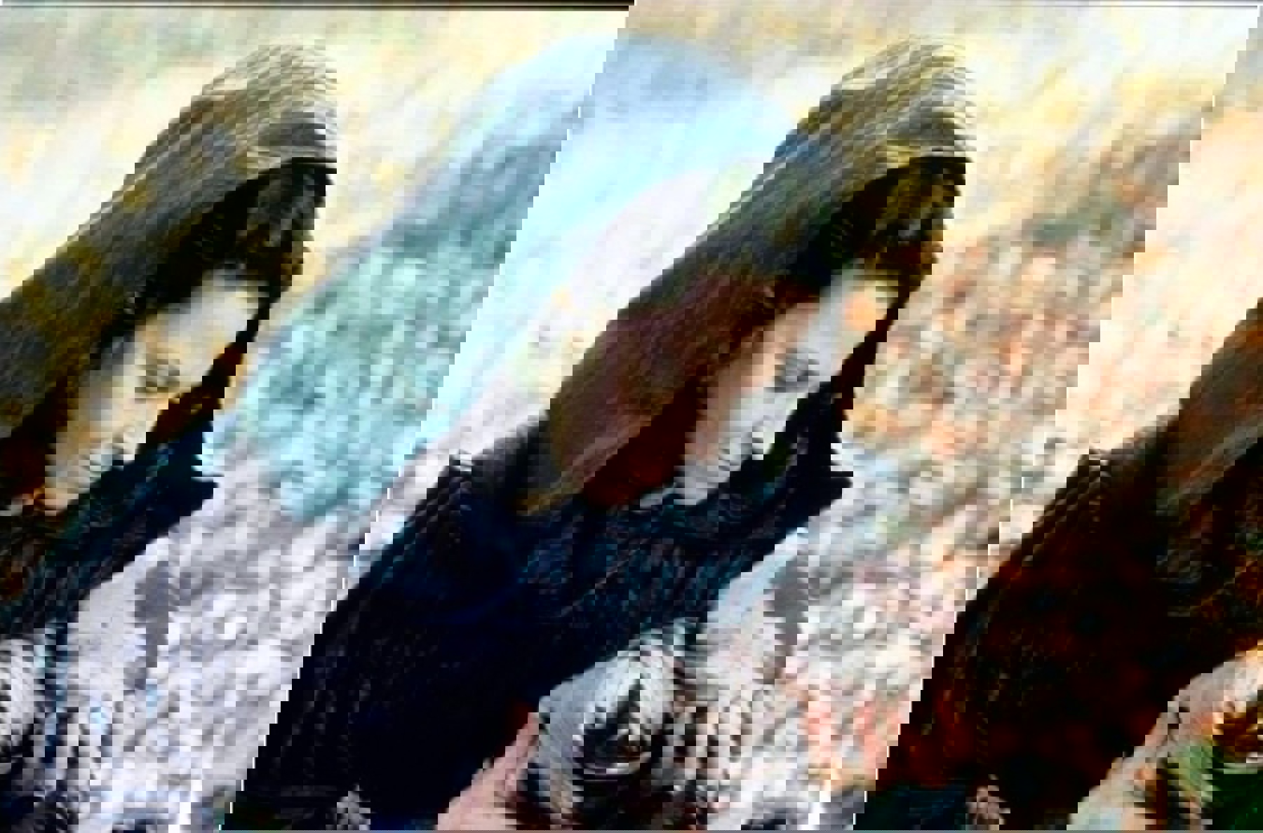 Image /media/avedov2c/n5050024035542f6ec929e8d12217169.jpg