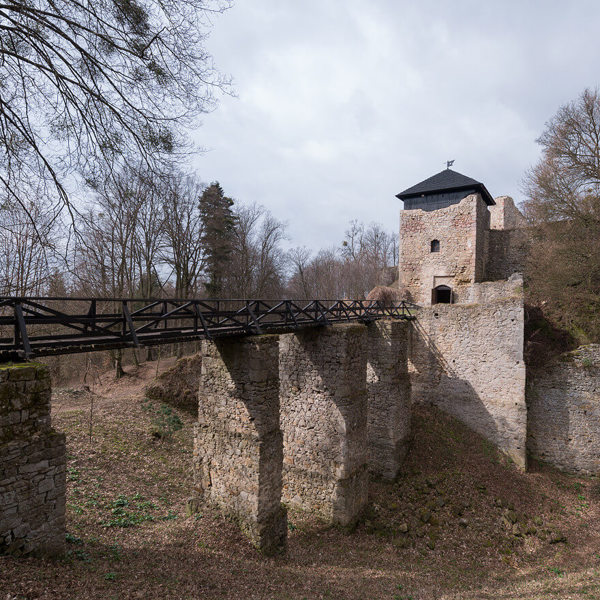 Image /media/avrl0bkc/dsc_3411.jpg