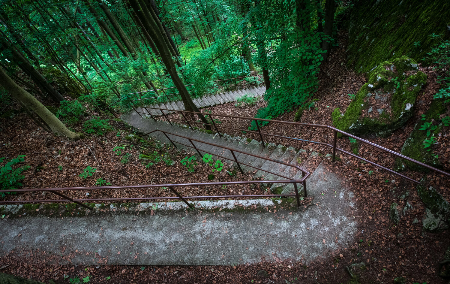 Obrázek /media/awjbsrpp/_dsc7636.jpg