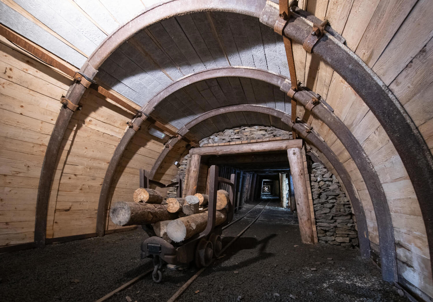 Obrázek /media/b0yjapdu/dsc2635.jpg