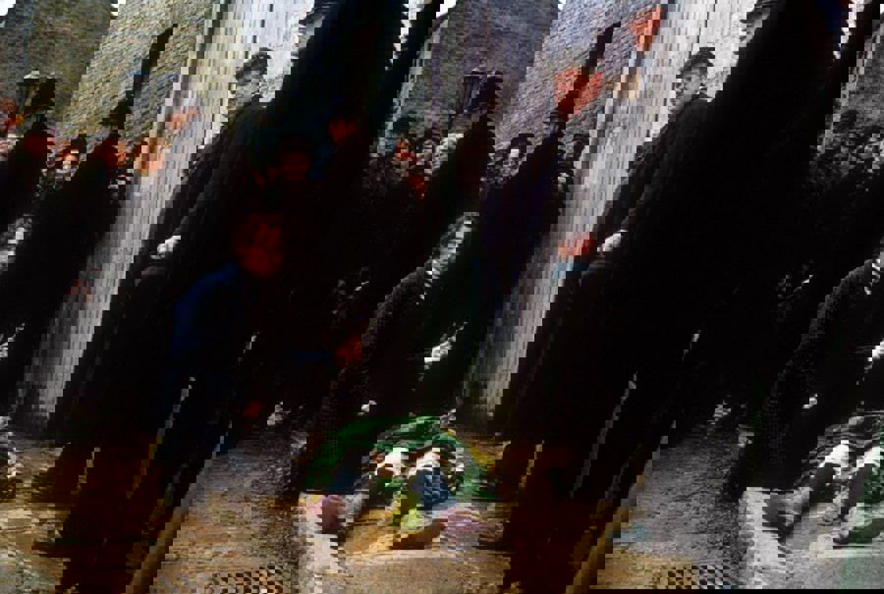 Image /media/bafjpb34/from_1.jpg