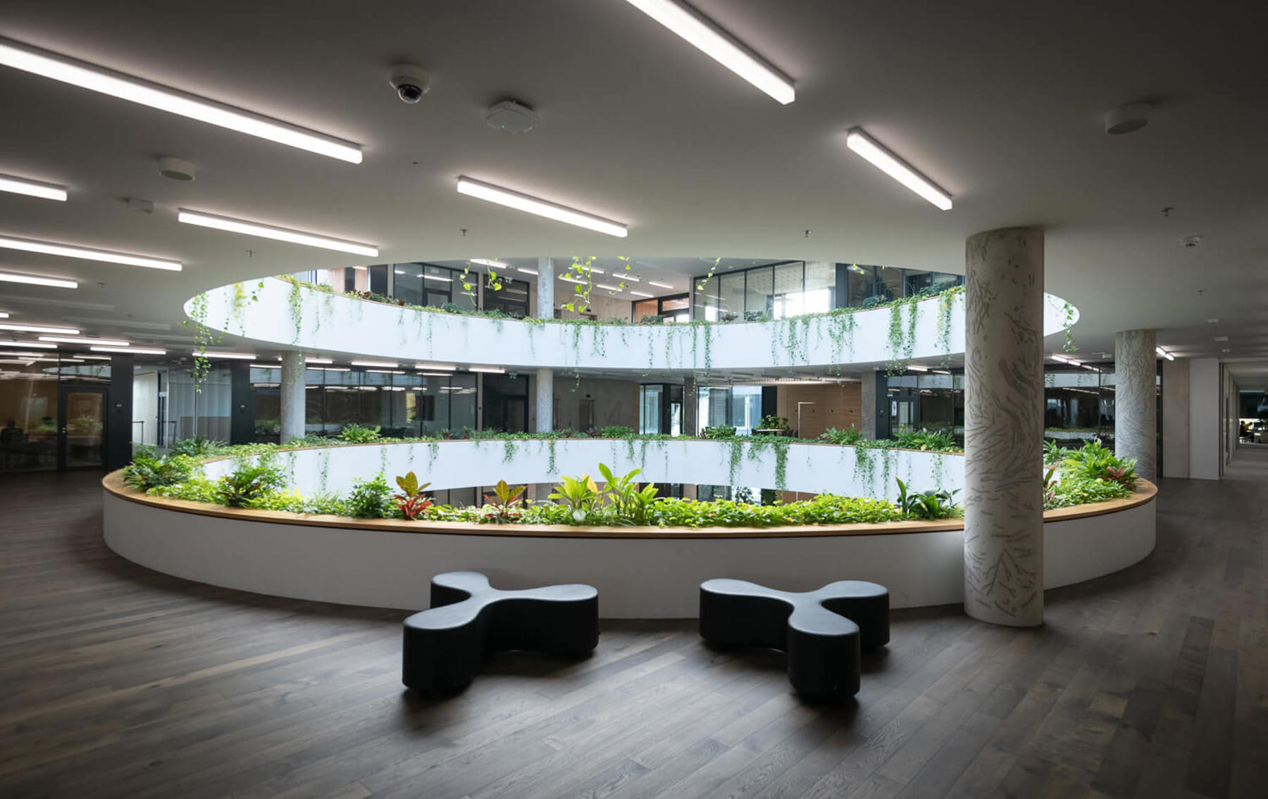 Obrázek /media/berekgeh/dsc2507.jpg