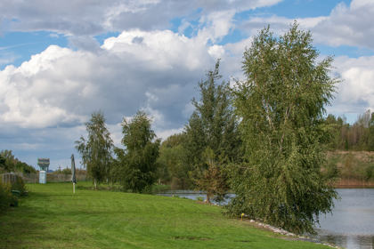 Image /media/bfjeyint/_dsc9867.jpg