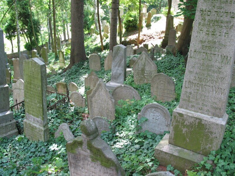Obrázek /media/bisfsxr5/trebic_-_zidovsky_hrbitov_-_nahrobky_a_stromy_800x600.jpg