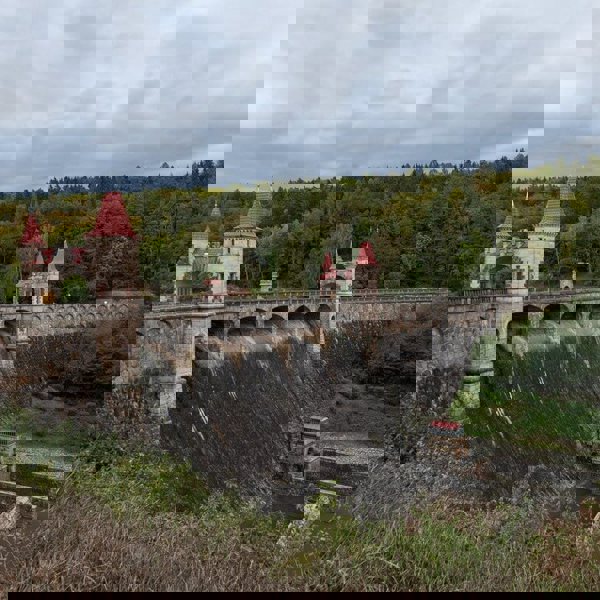 Image /media/bnlnrqvp/les_kralovstvi_2.jpg