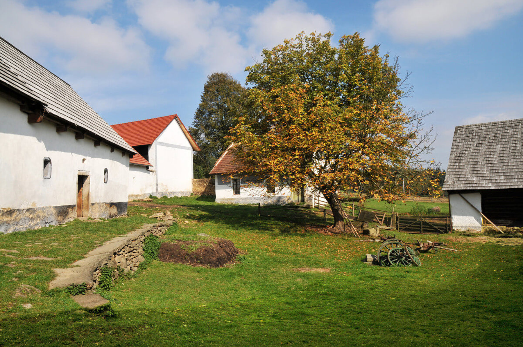 Obrázek /media/bnqpvzc1/dsc_4790.jpg