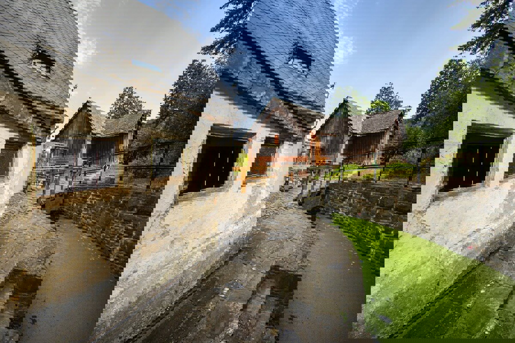 Image /media/c5pkeod0/wesselsky_042.jpg