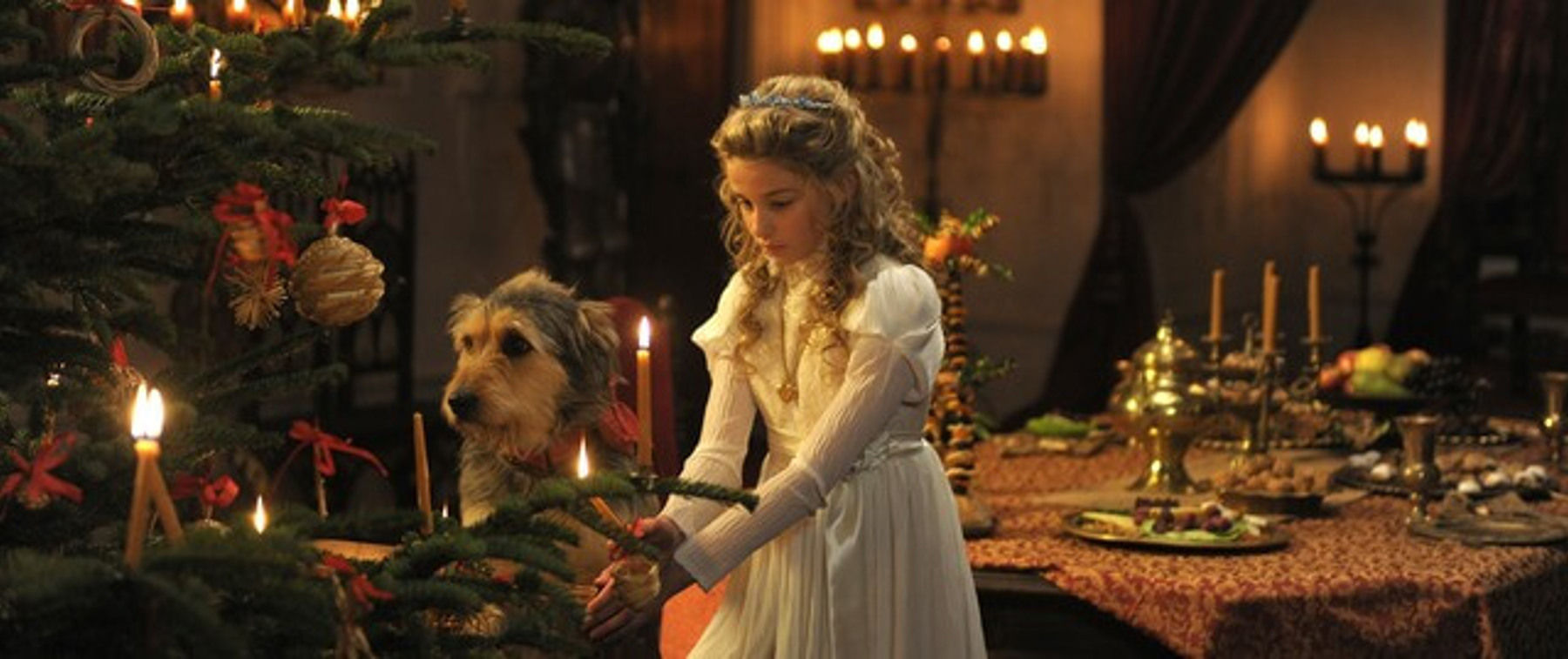 Obrázek /media/cd5lxj2s/dsc_5742_kopie1.jpg