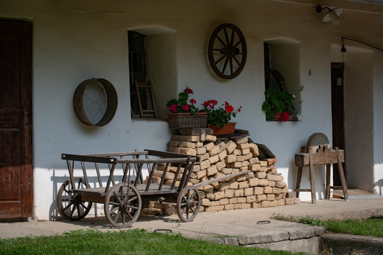 Obrázek /media/ce1felww/_dsc7268.jpg