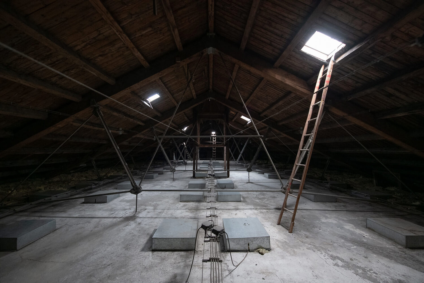 Image /media/ckfhtdds/_dsc2618.jpg