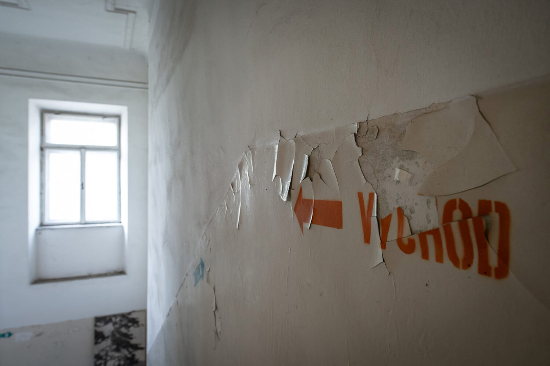 Image /media/coia54v1/_dsc7775.jpg