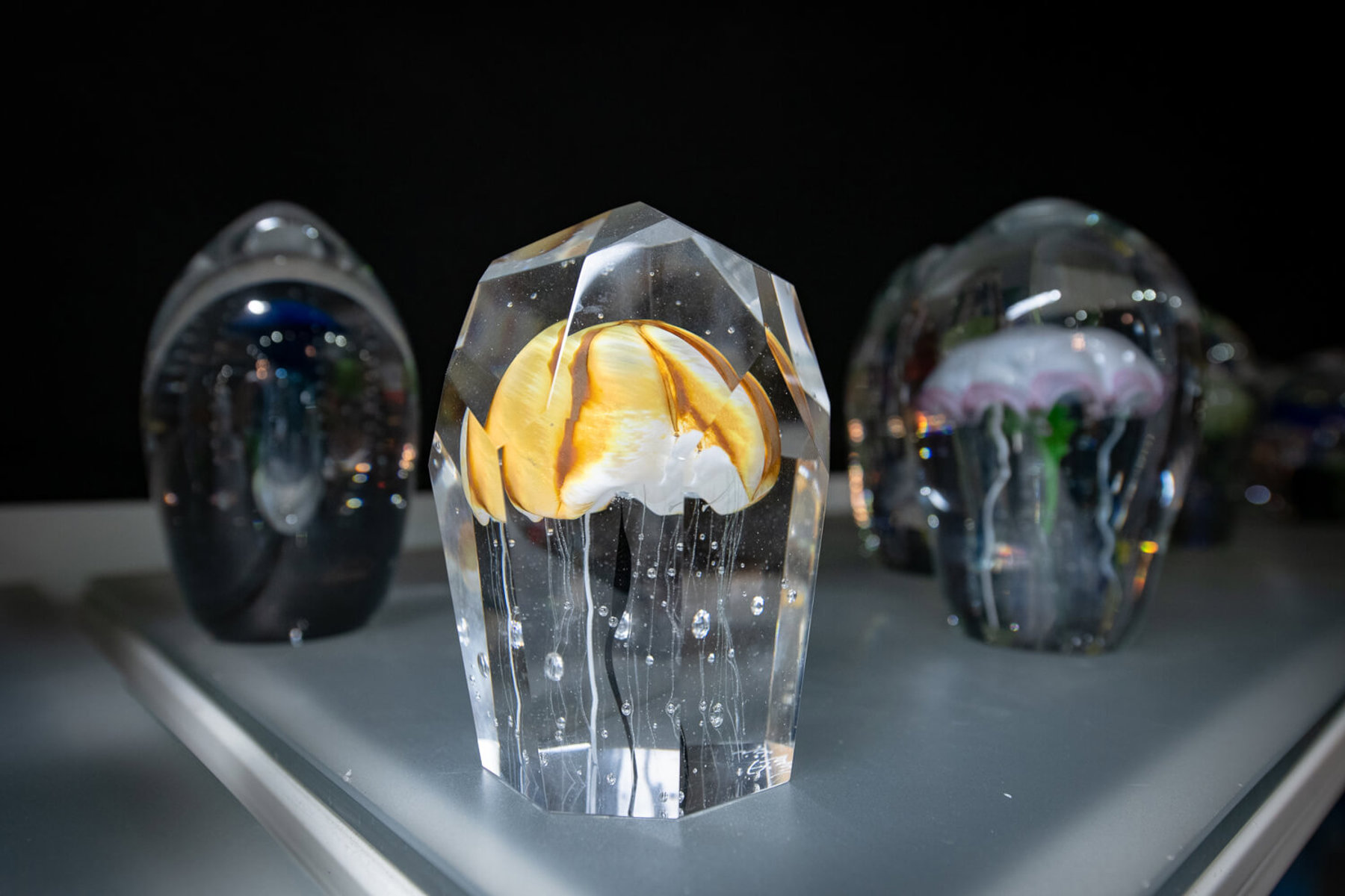 Image /media/cpebux5x/_dsc6827.jpg