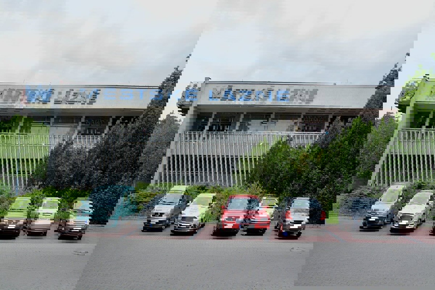 Obrázek /media/cqnfcxux/ml_stanilav_kral001.jpg