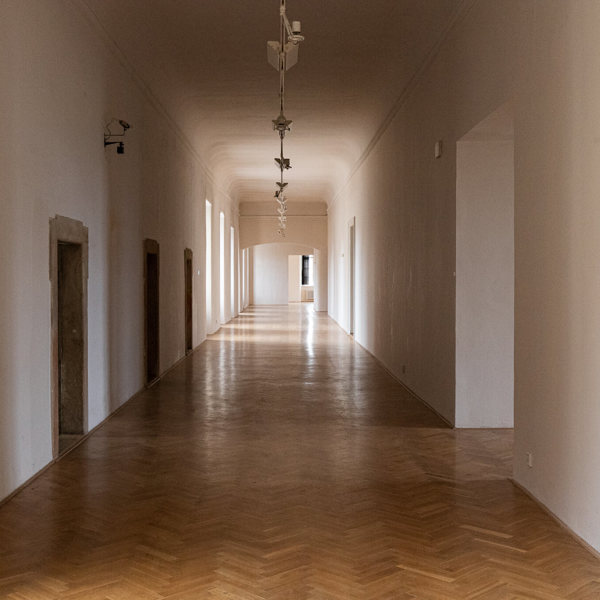 Image /media/cv3hizcy/img_4346.jpg