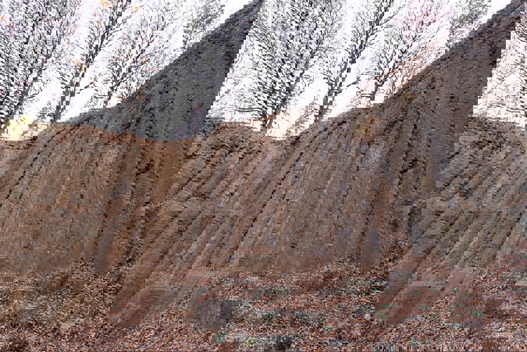 Obrázek /media/cvverimw/dsc_9770.jpg