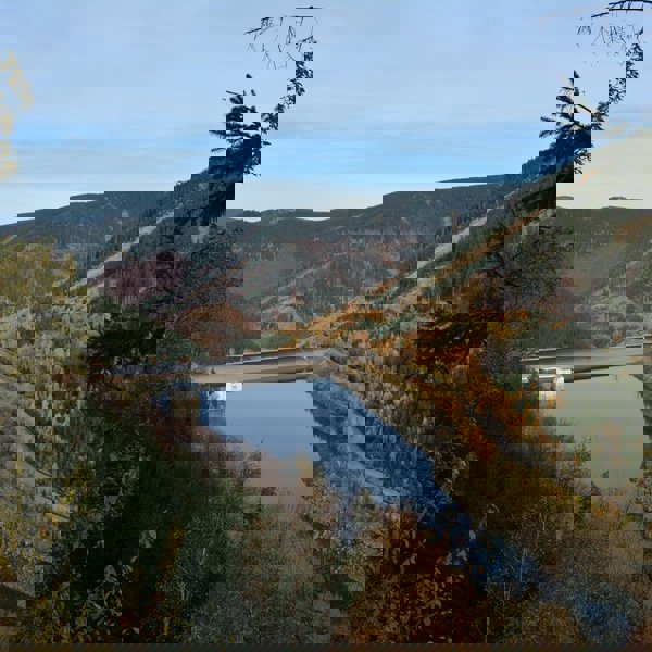 Image /media/d5dltnrr/dsc_7660.jpg