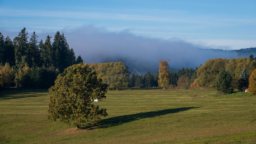 Ilustrační obrázek článku 'Šumava'