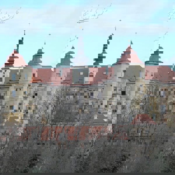 Image /media/dayjc5uw/dscn0620.jpg