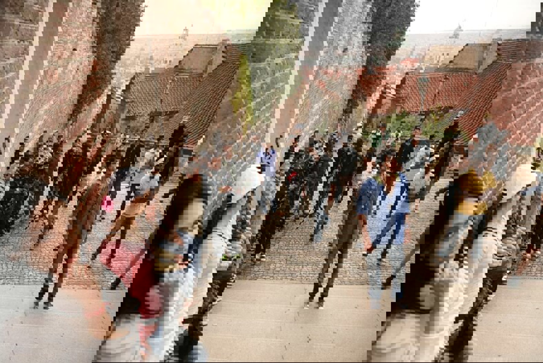 Obrázek /media/ddzb4g0v/d3n8885.jpg