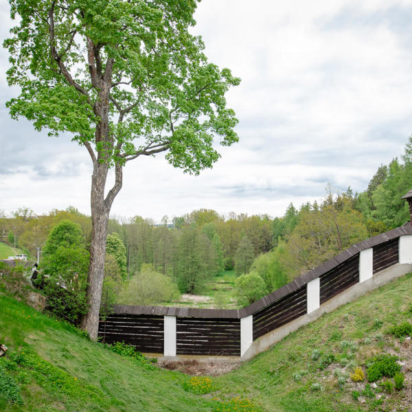 Image /media/dgsbnu0h/_dsc5131.jpg