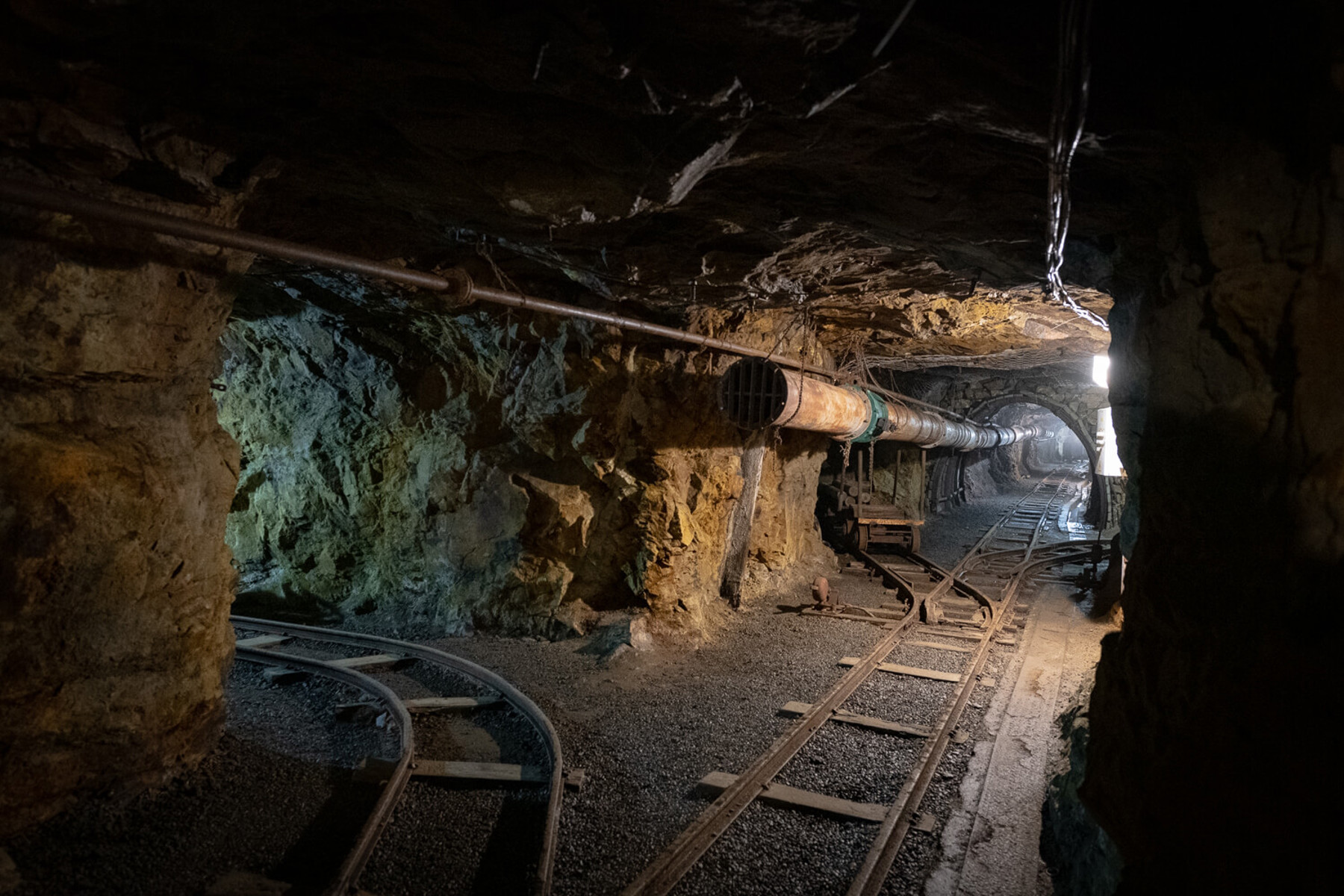 Image /media/djwlgfc1/dsc8626.jpg